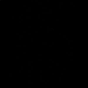 Meet your Posher, Alamin